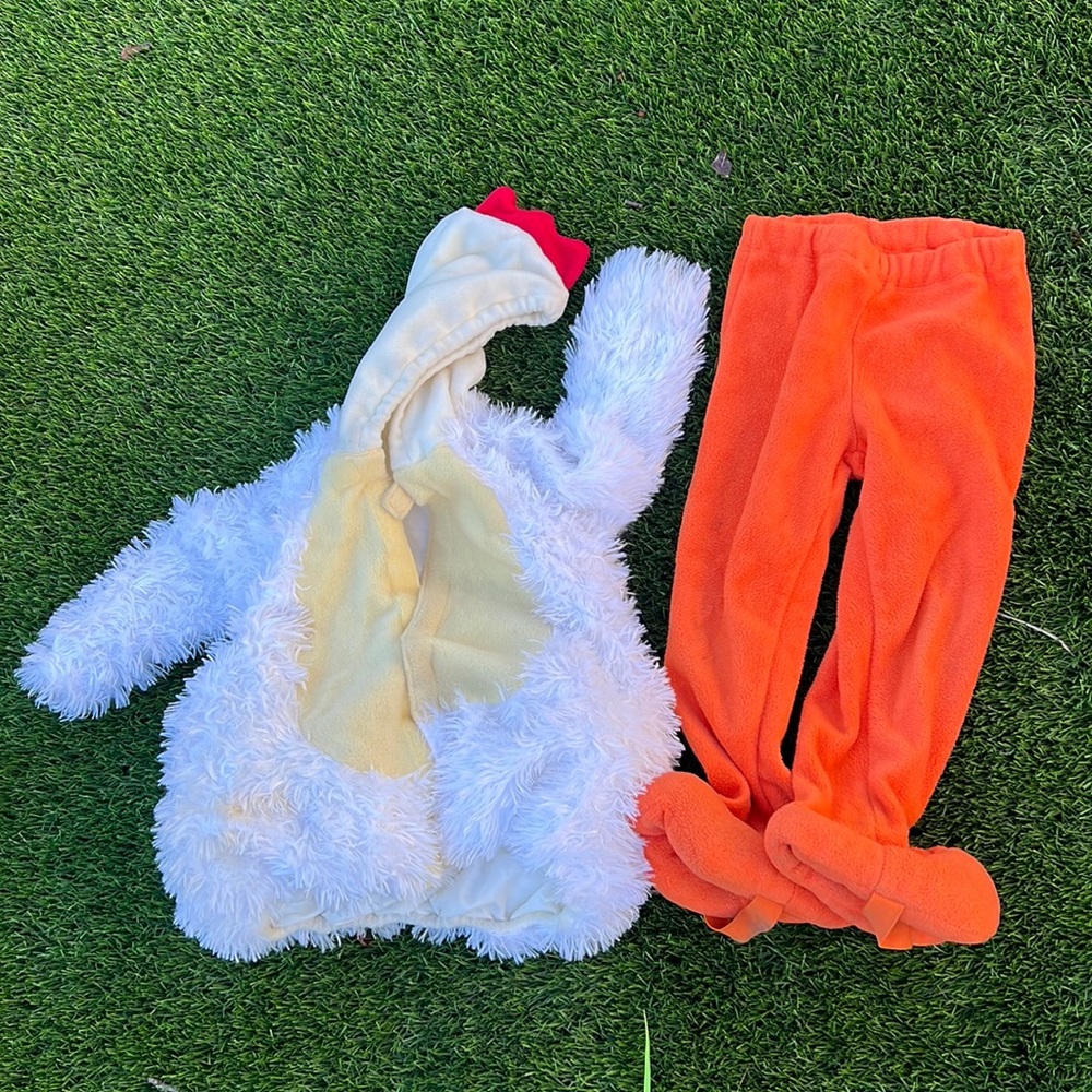 Chicken costume